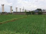 LAHAN PURLEM-04