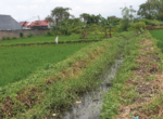 LAHAN PURLEM-05